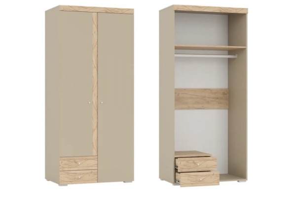 Шкаф 2-х дверный с двумя ящиками Палермо 6-87003