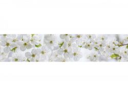 Кухонный фартук глянцевый SP-268