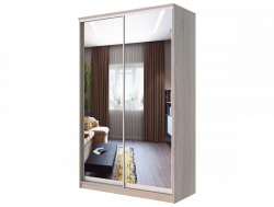 Шкаф-купе Хит 22-15-55