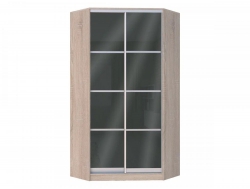 Шкаф-купе Хит-У-24-4-22 с планками