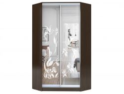 Шкаф-купе Хит-У-23-4-66 узор 03