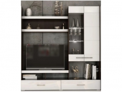 Центральный модуль Фиеста (без подсветки)